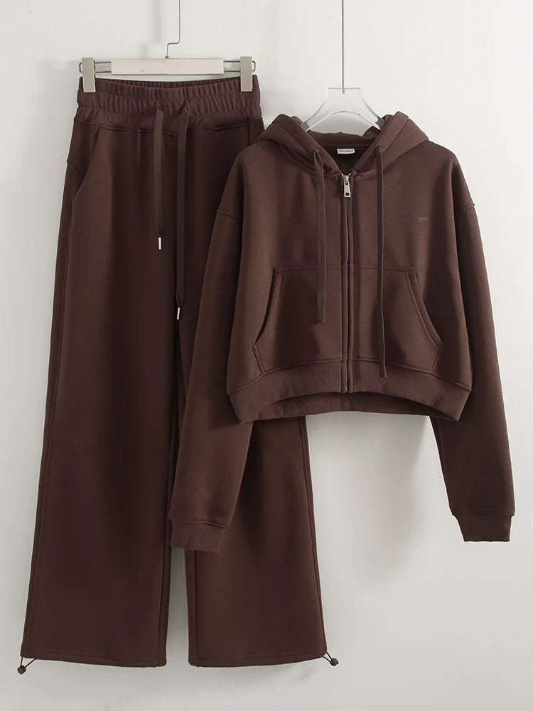 Winter Fleece Pants Set Women Brown Tracksuit Two Pieces Long Sweatpants Zipper Sweatshirts 2 Piece Gray Sweatsuit For Women Set