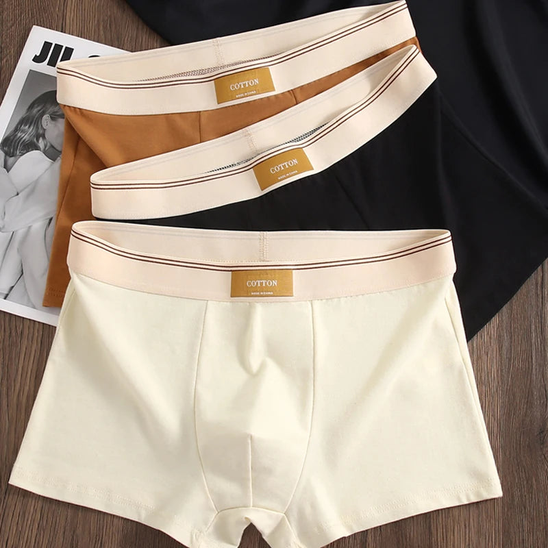 4 pcs Men Underwear Cotton BoxerShorts  Man Breathable Underpants Sexy Sports Comfort Male Boxers Size L-4XL