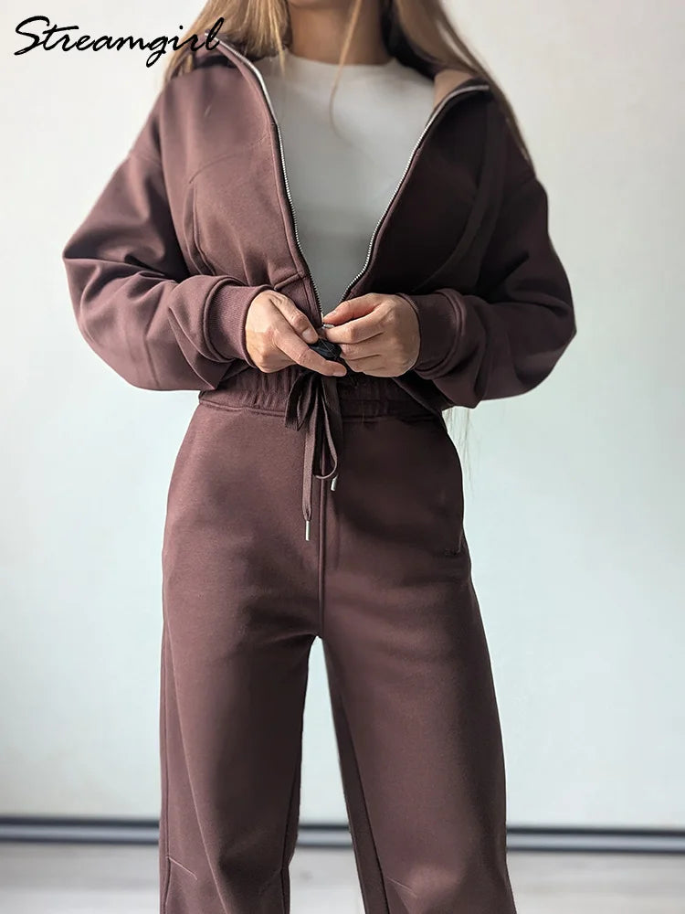 Winter Fleece Pants Set Women Brown Tracksuit Two Pieces Long Sweatpants Zipper Sweatshirts 2 Piece Gray Sweatsuit For Women Set