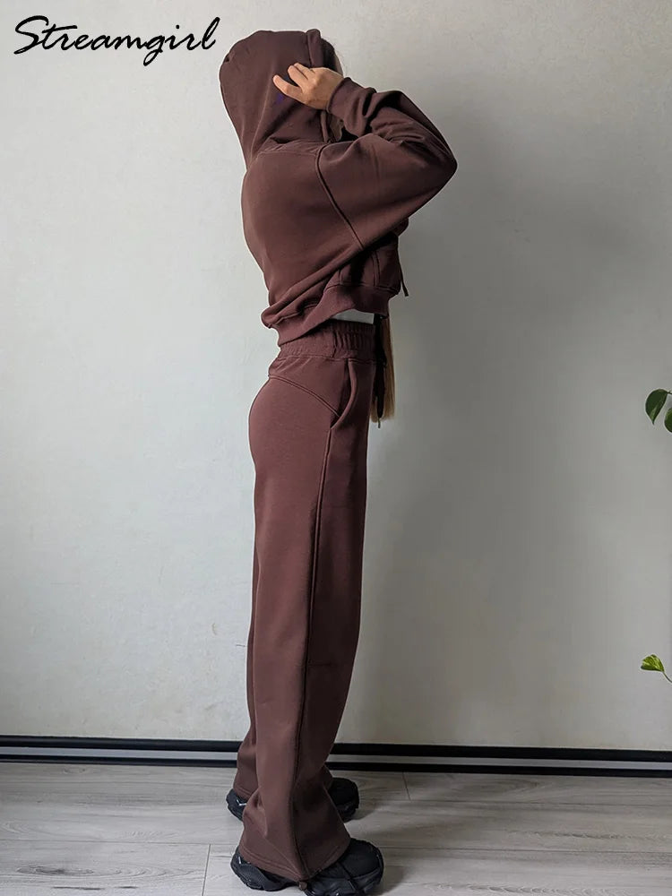 Winter Fleece Pants Set Women Brown Tracksuit Two Pieces Long Sweatpants Zipper Sweatshirts 2 Piece Gray Sweatsuit For Women Set