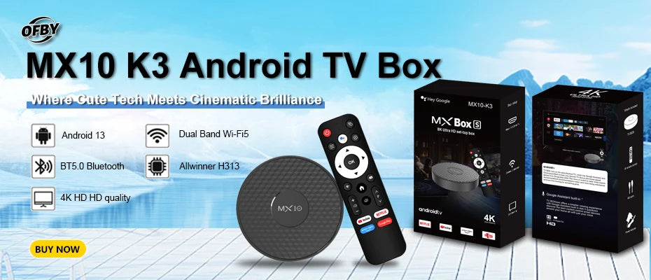 TV Box MX10 F1 Android 13 Mali-G31 4K 2GB RAM 16GB eMMC flash Media Player Support Voice Remote Control
