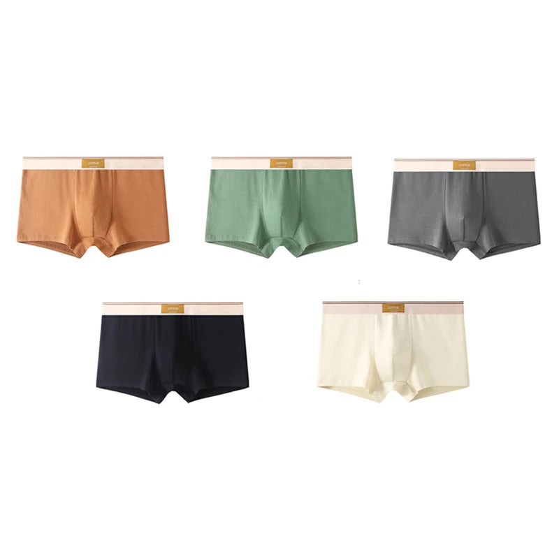 4 pcs Men Underwear Cotton BoxerShorts  Man Breathable Underpants Sexy Sports Comfort Male Boxers Size L-4XL