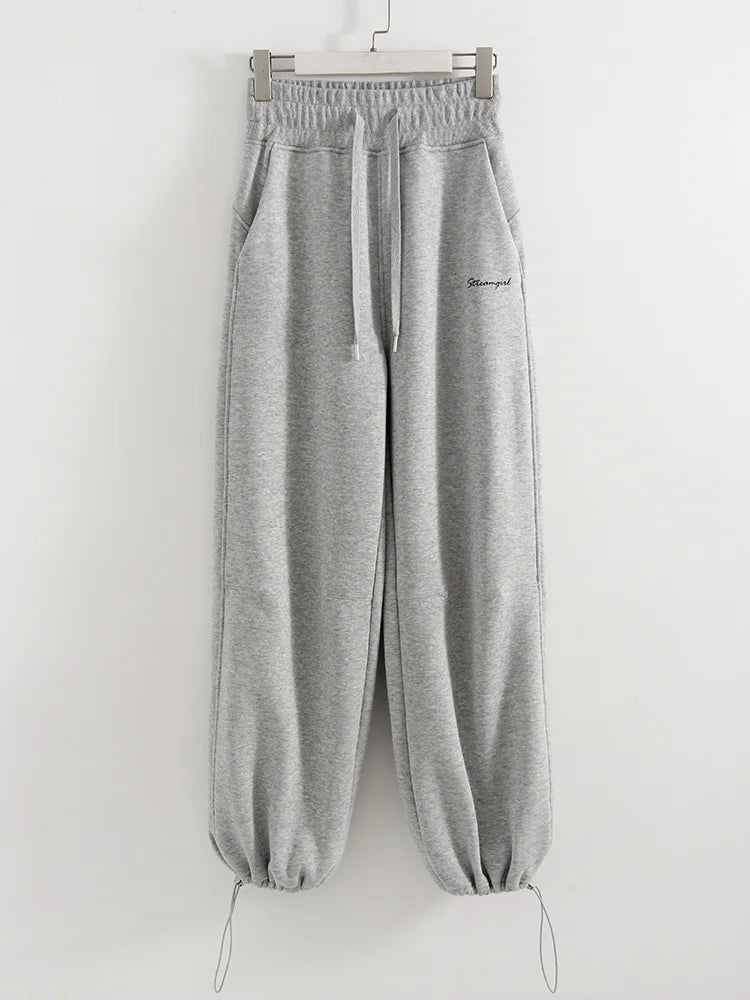 Winter Fleece Pants Set Women Brown Tracksuit Two Pieces Long Sweatpants Zipper Sweatshirts 2 Piece Gray Sweatsuit For Women Set